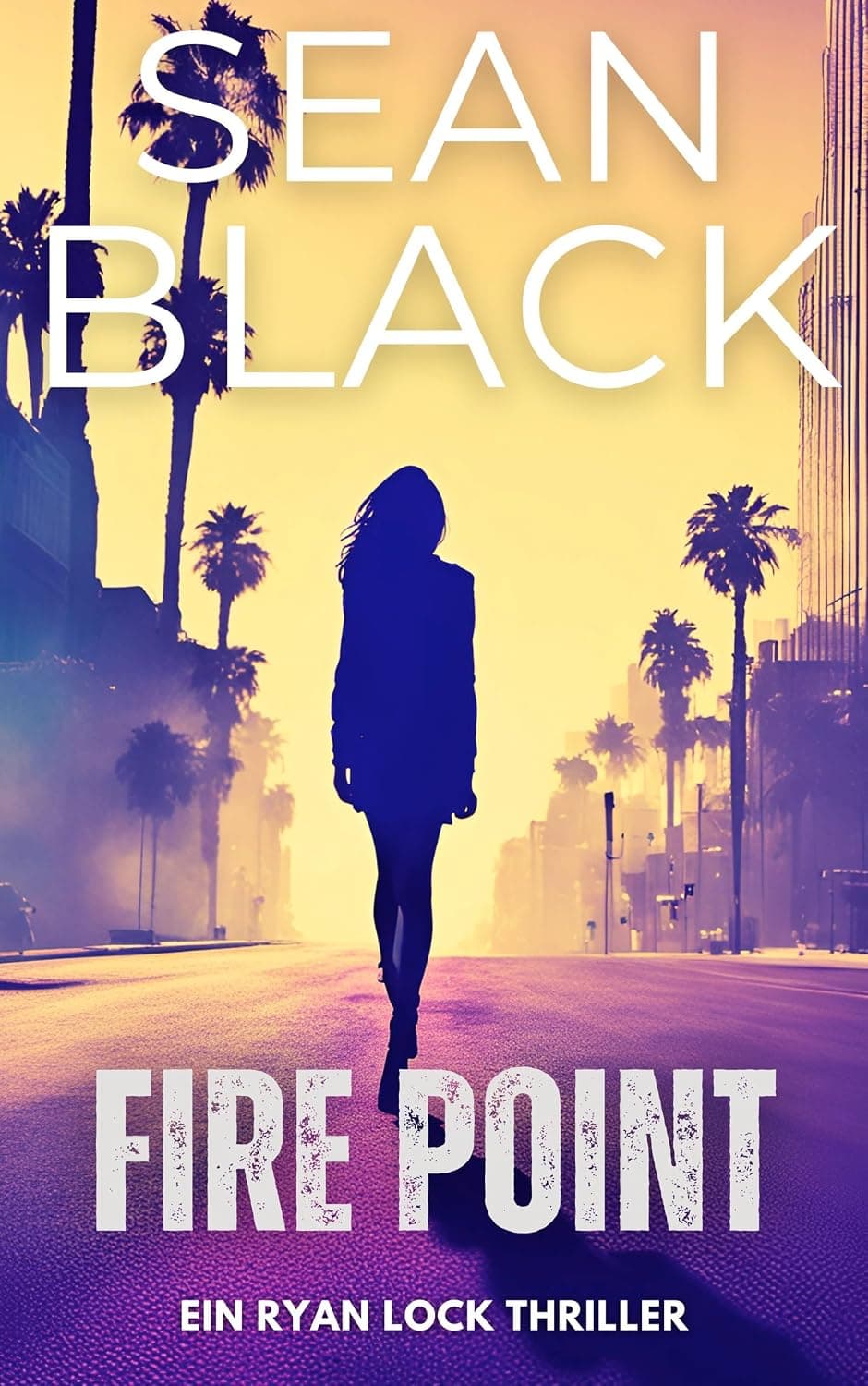 Buchcover: Fire Point von Sean Black